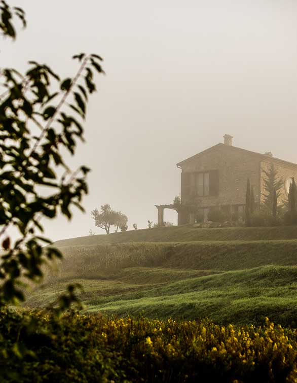 osteria-etrusca-contact